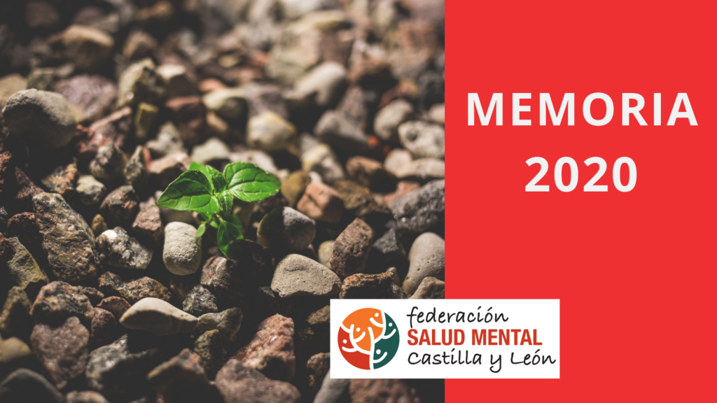 Memoria Actividad 2020