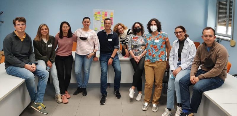 Formación Equipo