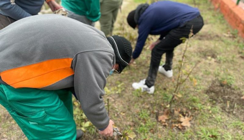 Empleo Verde